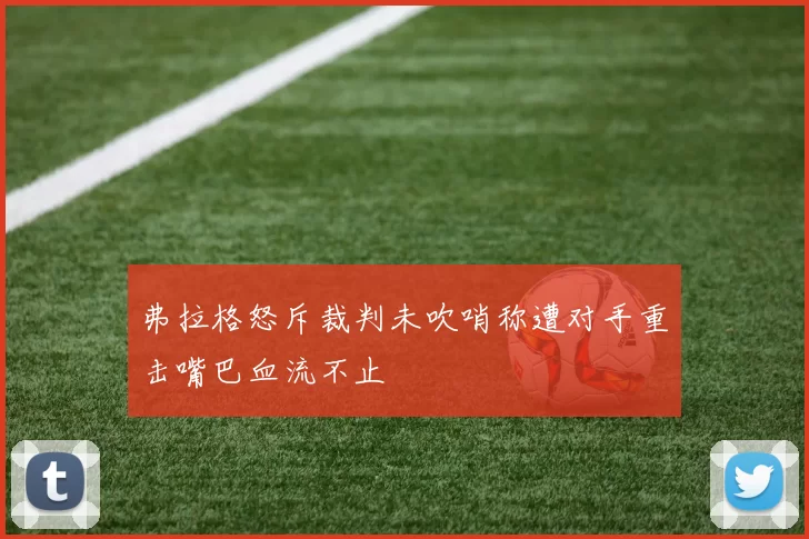 弗拉格怒斥裁判未吹哨称遭对手重击嘴巴血流不止