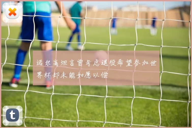 诺尔高坦言曾考虑退役希望参加世界杯却未能如愿以偿